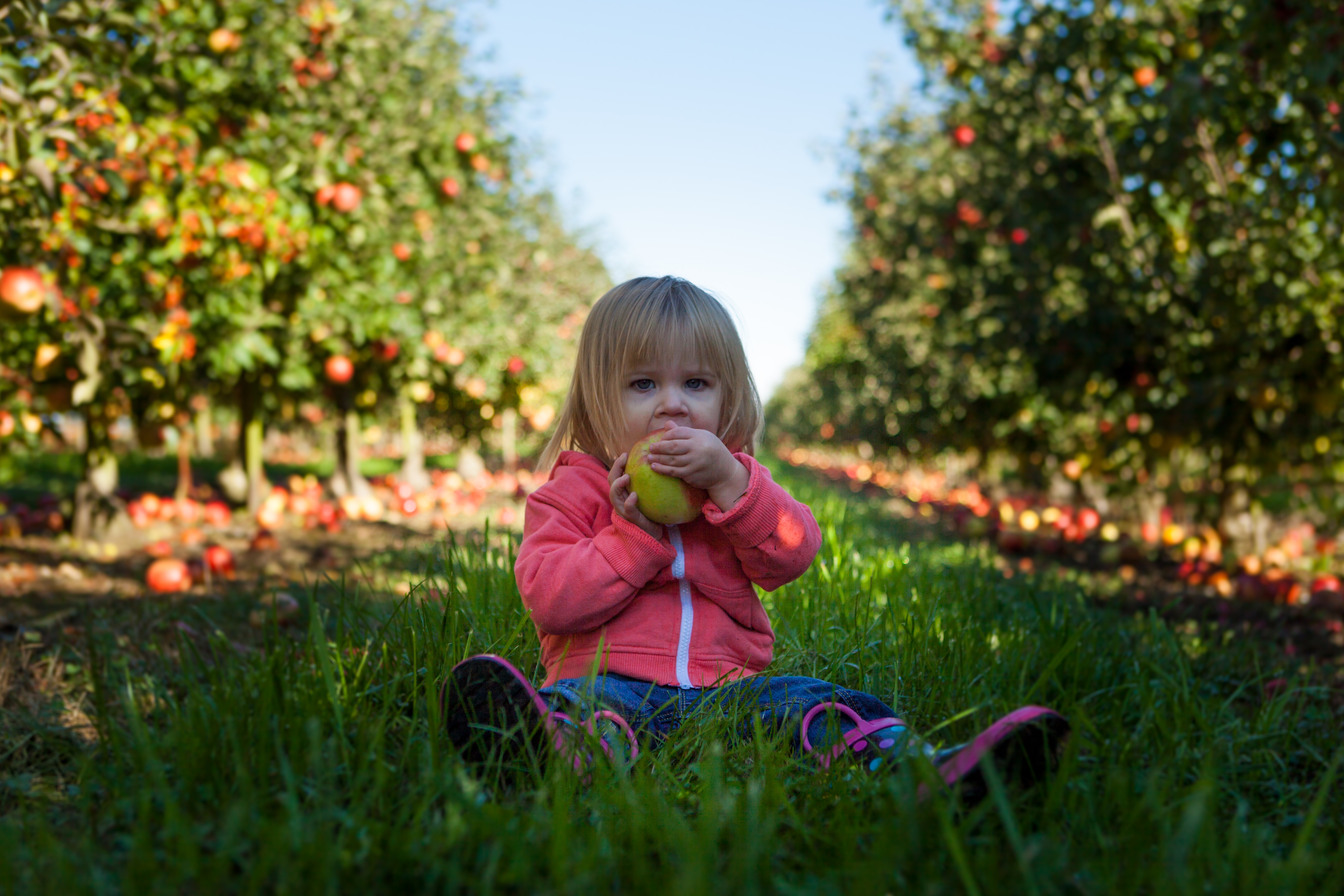 petite-fille-mange-pomme