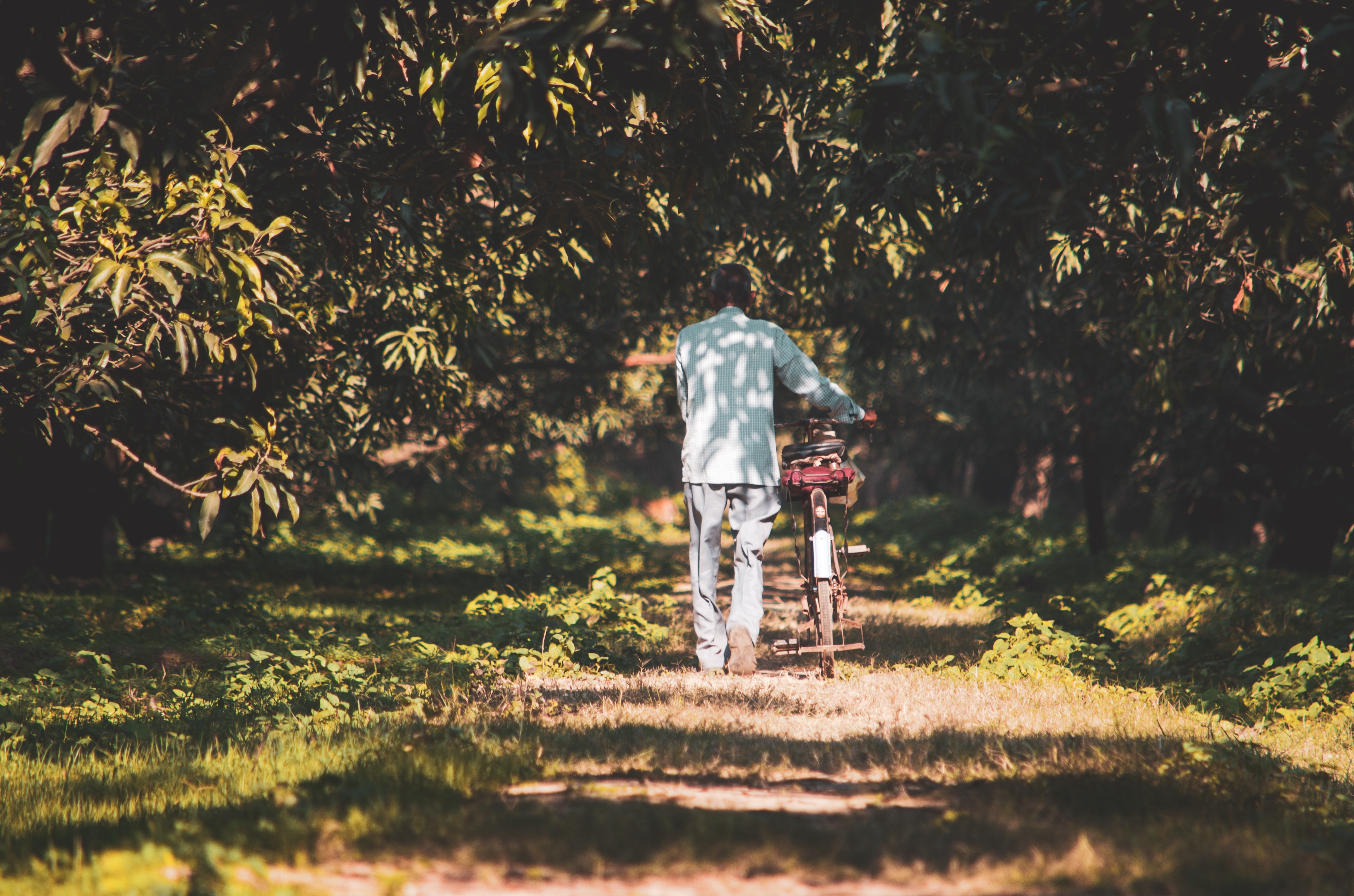 promenade-verger-velo