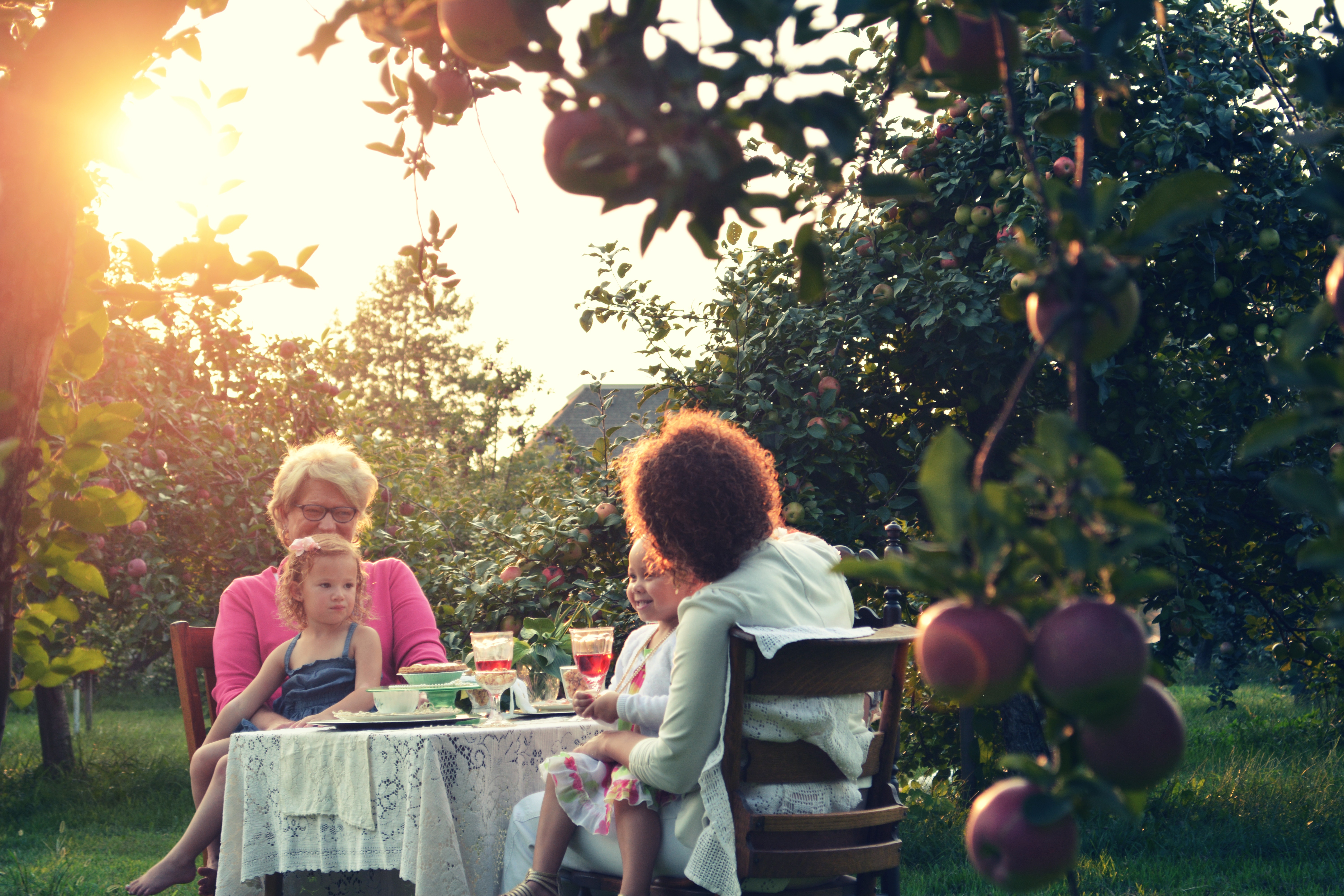 repas-exterieur-famille